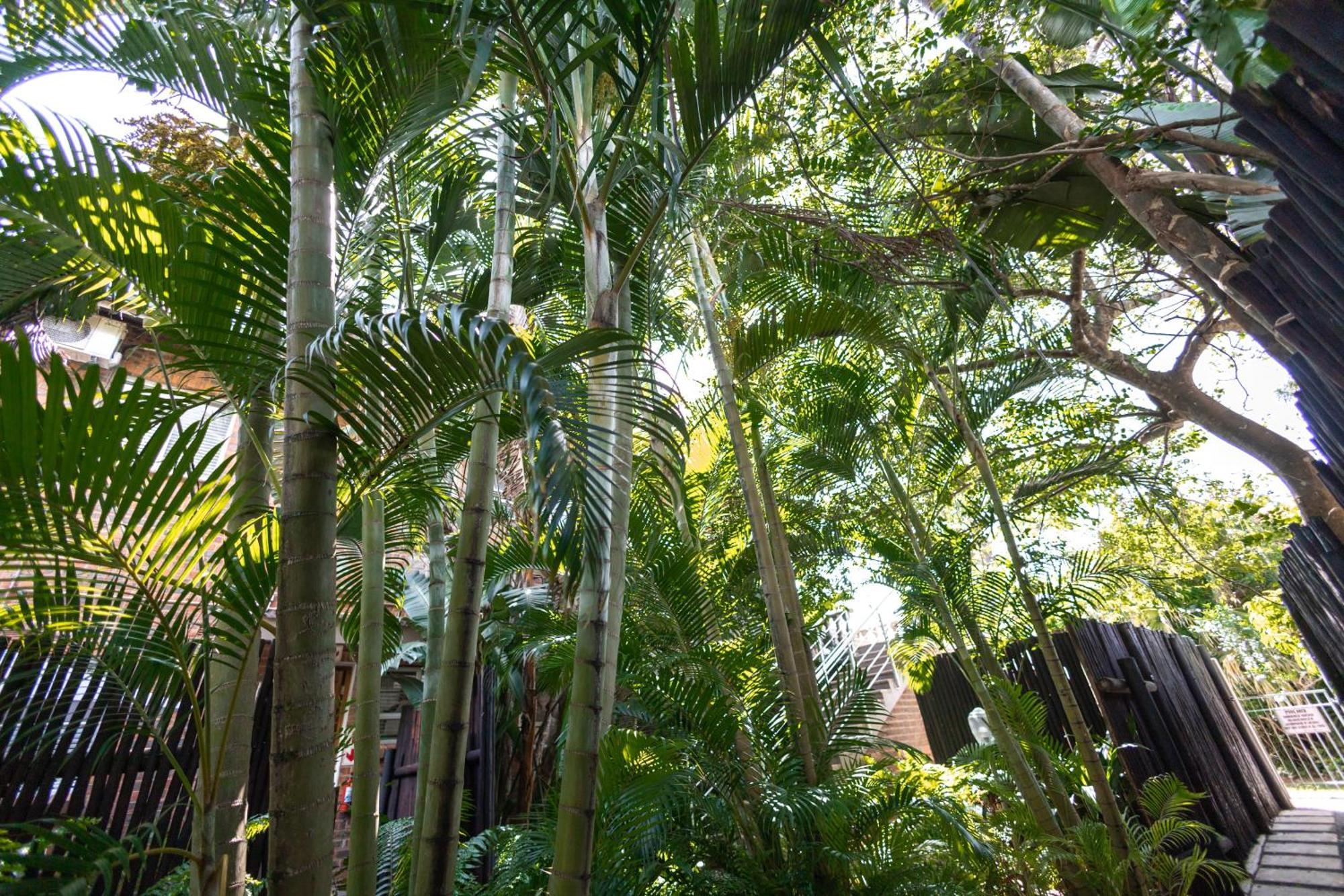 Little Eden St Lucia Apartment Ngoại thất bức ảnh